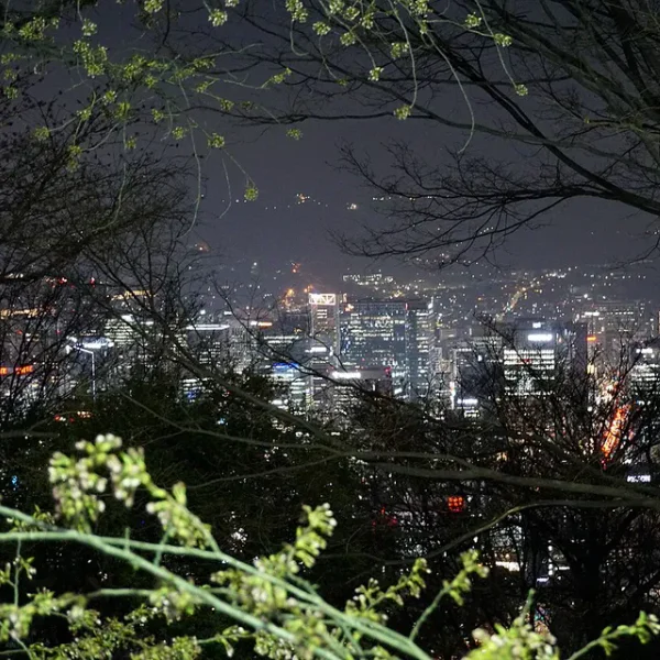 스테이 하린가든 테라피 대표 안내 이미지