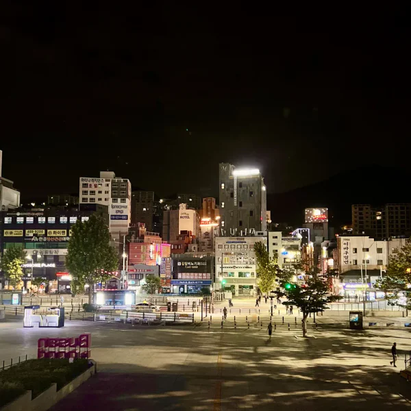 포레스트 보미룸 테라피 대표 안내 이미지