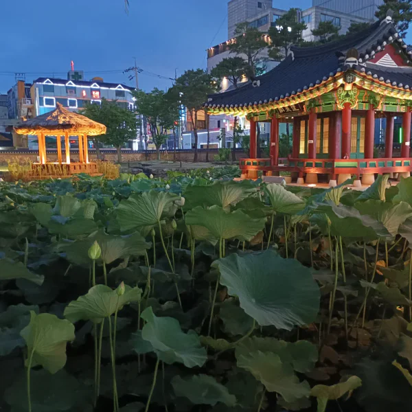 시그니처 마리아지트 마사지 대표 안내 이미지