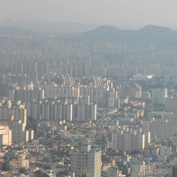 아로마 로아테라스 마사지 대표 안내 이미지