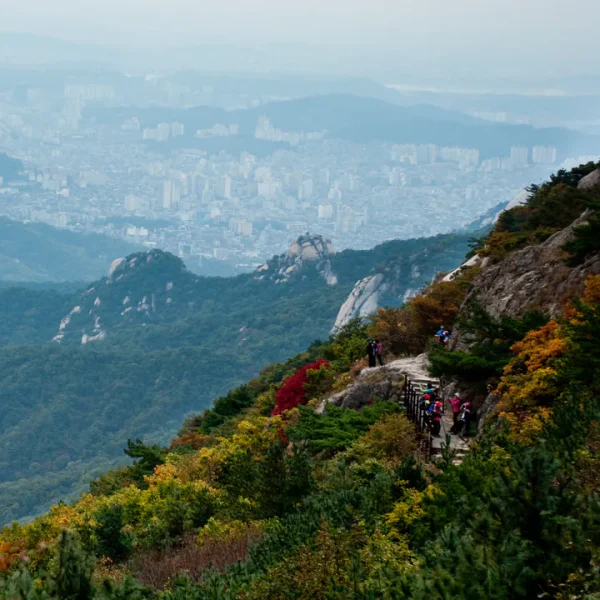 라운지 세정가든 마사지 제휴업체 이미지